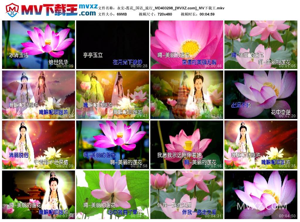 永宏-莲花_国语_流行_MD403298